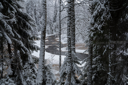 雪林深处溪流蜿蜒如画境