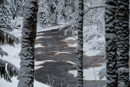 雪中溪流穿林而过显生机