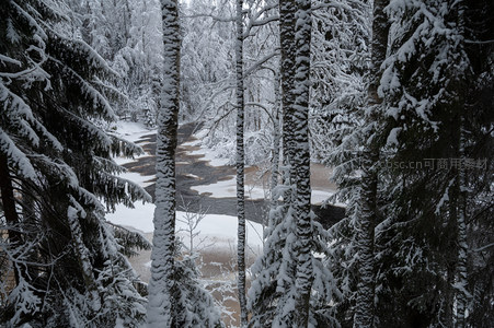雪林夹道溪水潺潺映冬韵