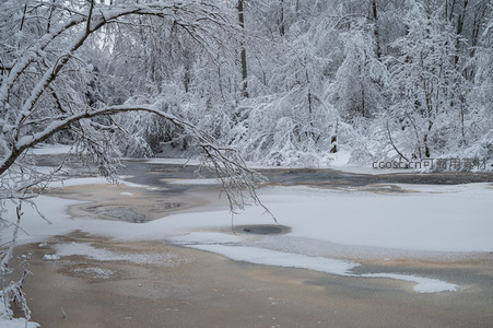 冰河穿林而过，雪枝低垂映水