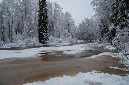 雪覆河岸林木，冰水交融成画