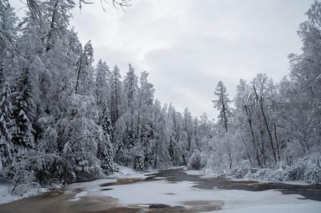 冰河穿林雪原秘境
