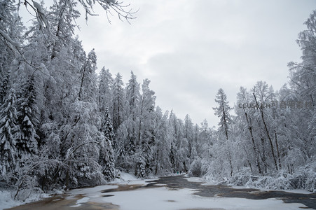 雪中林道通幽处