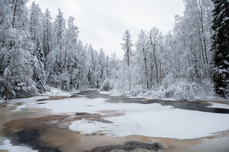 雪林冰河交融景