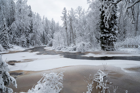 雪覆森林溪流静谧冬日画卷