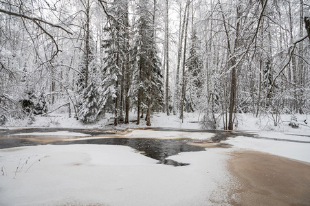 林间雪径溪水潺潺冬意浓