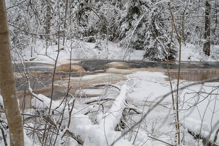 雪林溪畔枯枝横卧如诗
