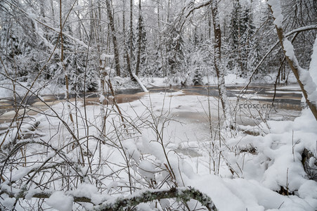雪覆森林溪流静谧冬日景