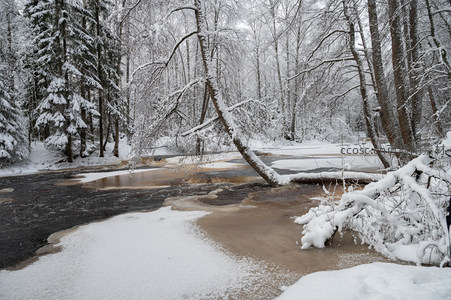 雪林深处溪水未冻清流