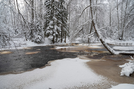 雪后林间溪流蜿蜒如带