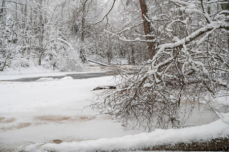 雪中溪流蜿蜒流淌