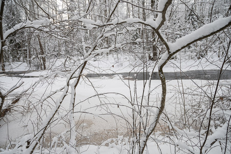 雪枝掩映溪水潺潺