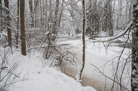 雪覆林间溪流静谧如画
