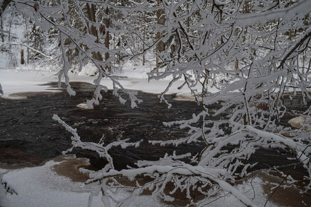 霜枝垂挂溪水潺潺不息