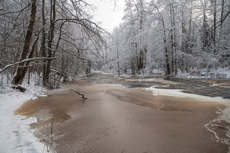 冬日森林溪谷，雪树掩映水流缓