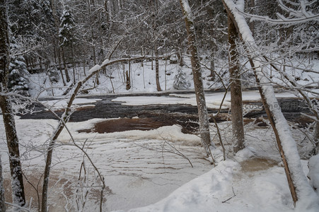 雪林幽径溪流，冰岸交错如画境