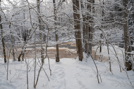 雪林深处溪声，枝头垂霜映水清