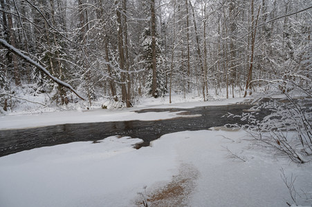 银装素裹林溪，冰封半壁水犹流