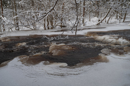 雪中溪流奔腾不息