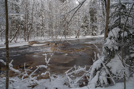 雪林溪畔幽静如画