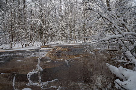 冰封溪谷雪影婆娑