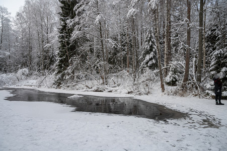 雪中漫步林间溪畔人影孤