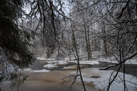雪覆森林溪流静谧冬日景致