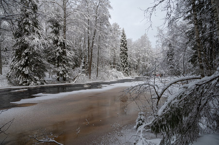 雪林溪畔远眺行人点点身影