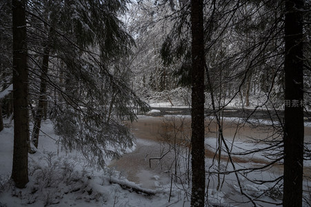 林间溪流半冻半融冬日奇观