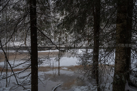 雪林幽径，静谧如画
