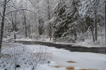 冬林雪溪，天地一色