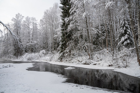 雪林倒影，水镜如画