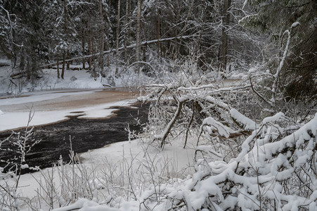 雪中溪流穿林而过显幽静