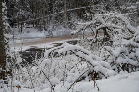 雪覆灌木丛生溪畔
