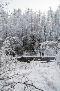 雪林河畔游人漫步赏冬景
