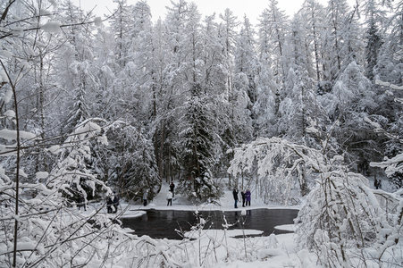 雪林溪畔，游人踏雪赏冬韵