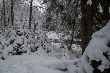 雪林深处，溪水隐现