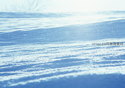 风吹雪浪，层层叠叠的雪纹如海面波涛起伏