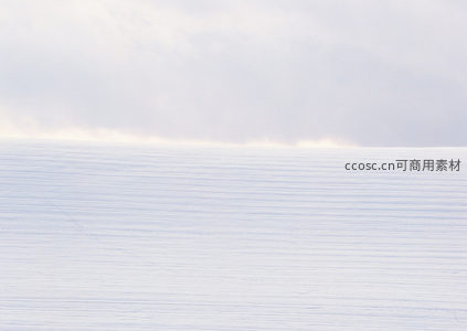 雪原辽阔，远方雾霭弥漫，足迹延伸至天边