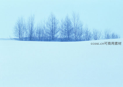 雪原孤树静谧景致