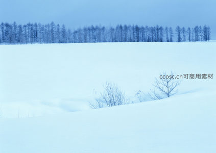 雪覆丘陵林线如画