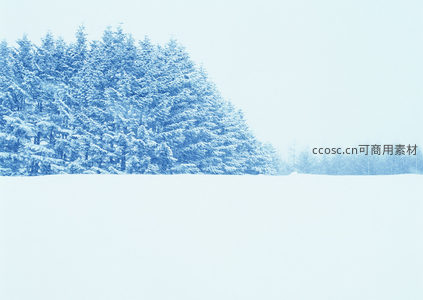 松林积雪如童话世界