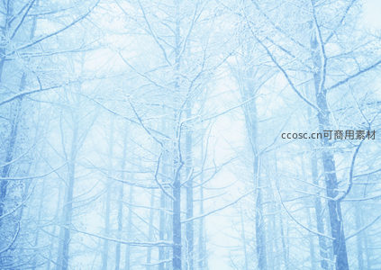 雾凇林间如梦似幻