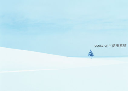 孤树立于雪原之上
