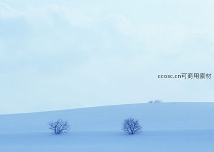 雪丘双树遥相呼应