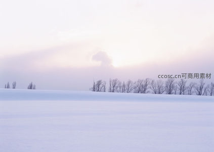 晨曦雪野，薄雾轻笼树影朦胧