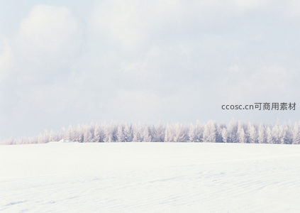 银装素裹林海，雪覆松枝如画境