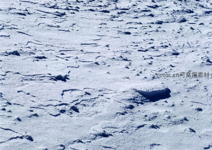 雪地表面细密裂痕与光影交织，呈现独特肌理