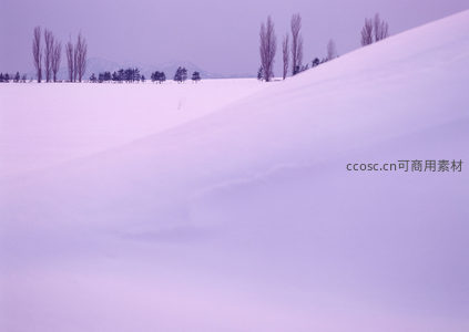 雪原暮色，孤树静立如诗