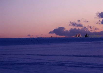 雪野夕照，车痕蜿蜒入暮